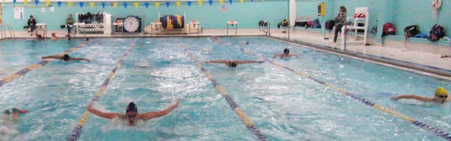 Polar Bears Competitive Swim Team Pittsfield Berkshire Family YMCA